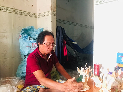 Vỏ ốc mỹ nghệ